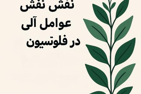 بررسی نقش عوامل آلی زیستی در فلوتاسیون سازگار با محیط زیست