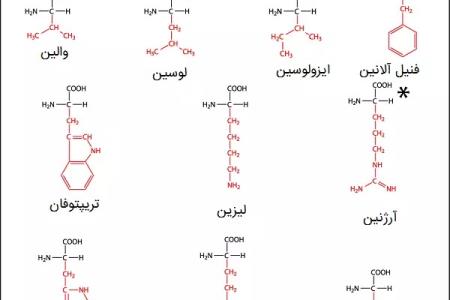 کاربرد اسیدهای آمینه به عنوان کلکتور زیست پایه در فلوتاسیون مواد معدنی