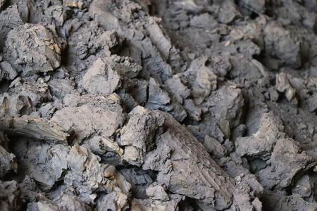 کنسانتره سرب