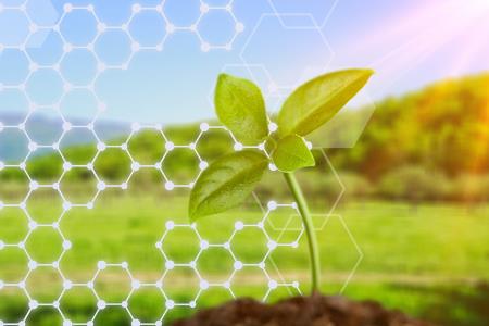 اثرات زیست محیطی مواد شیمیایی در فرآوری معدنی