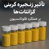 تاثیر زنجیره کربنی گزانتات ها بر عملکرد فلوتاسیون